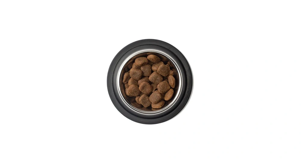 Belcando Adult GF Ocean 1kg